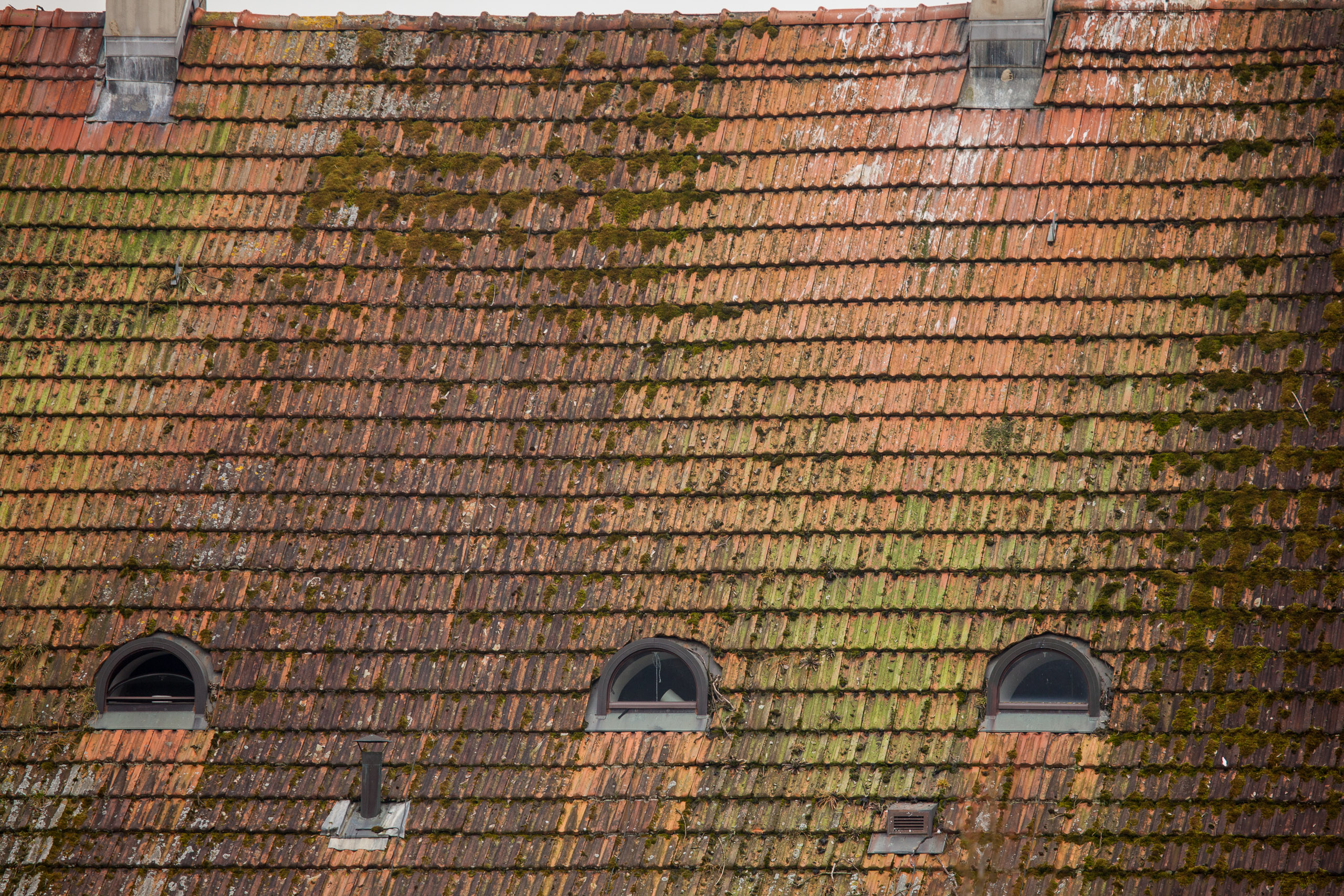 20110313133250 IMG 7246